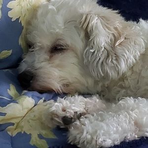 Meet your Posher, Eve